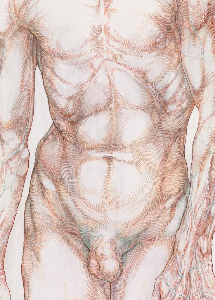 an image of a man's torso and muscles