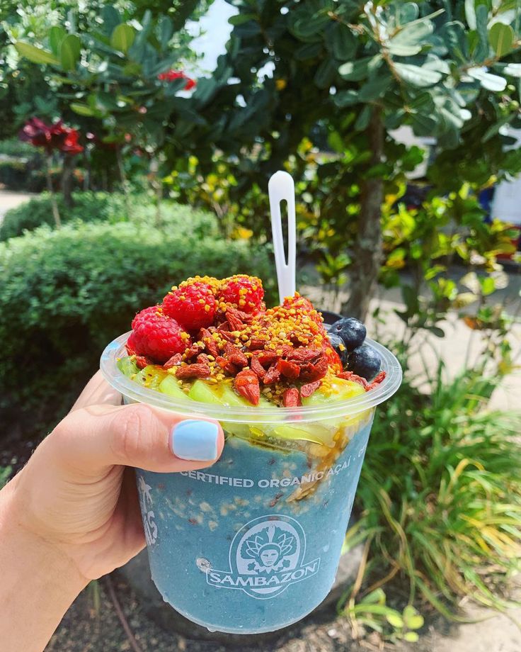 a person holding up a plastic cup filled with fruit and yogurt in front of some bushes