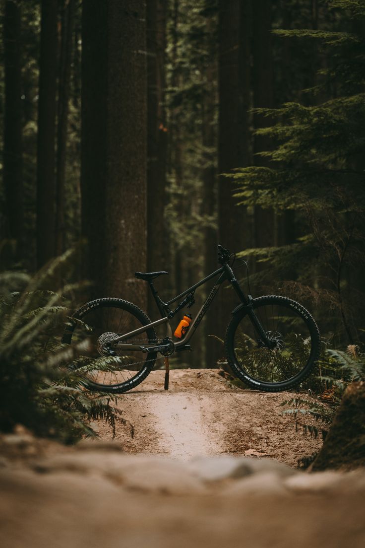 a mountain bike parked on a trail in the woods