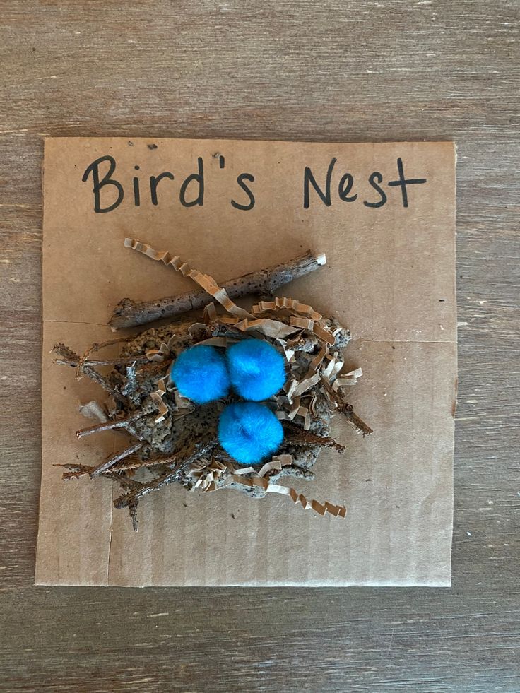 three blue birds nests sitting on top of a piece of cardboard with the words bird's nest