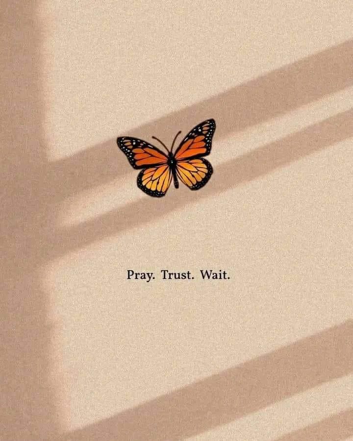 an orange butterfly sitting on top of a white sheet with the words pray trust wait