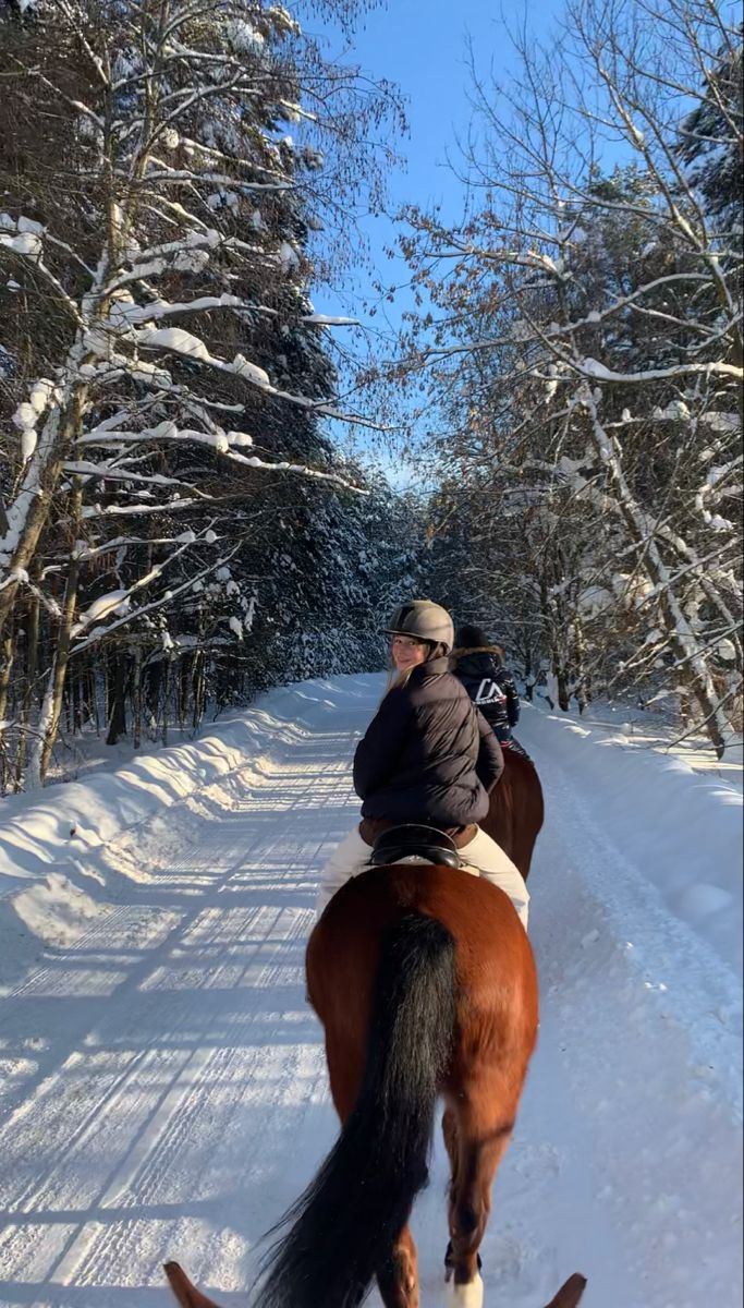 a man riding on the back of a brown horse through snow covered forest filled with trees