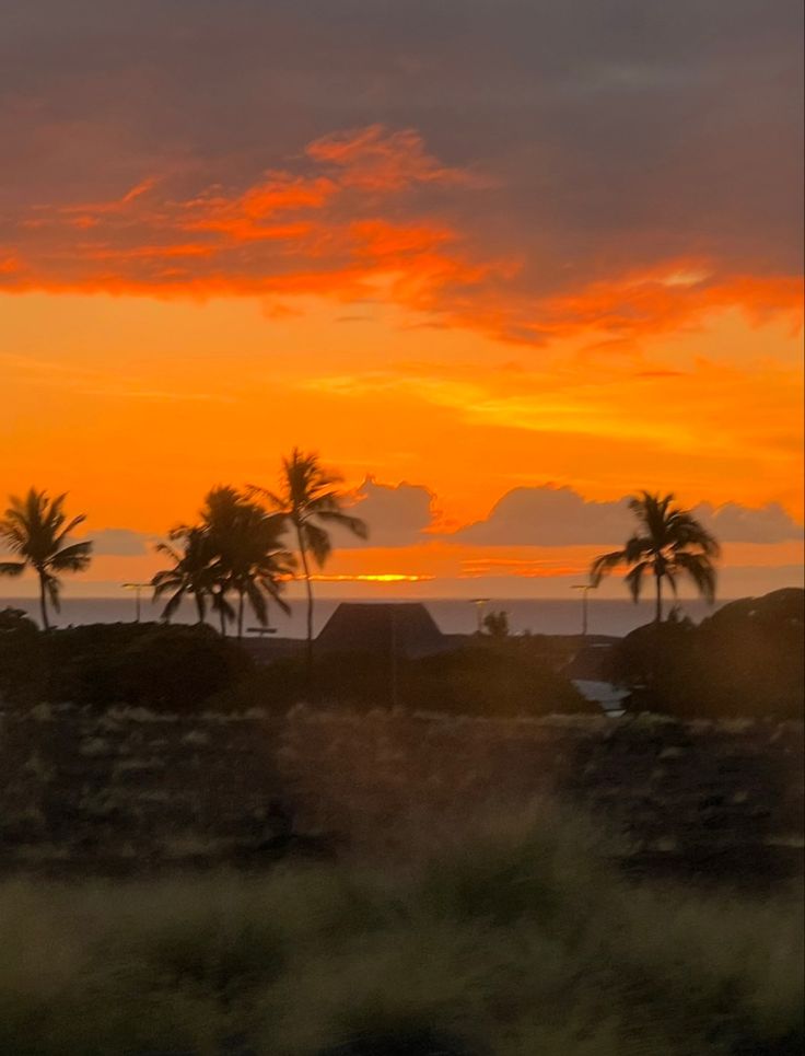 the sun is setting over some palm trees and water in front of an ocean shore