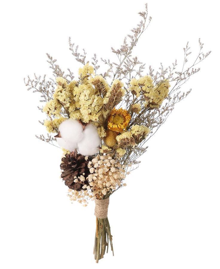 a bouquet of flowers and pine cones on a white background