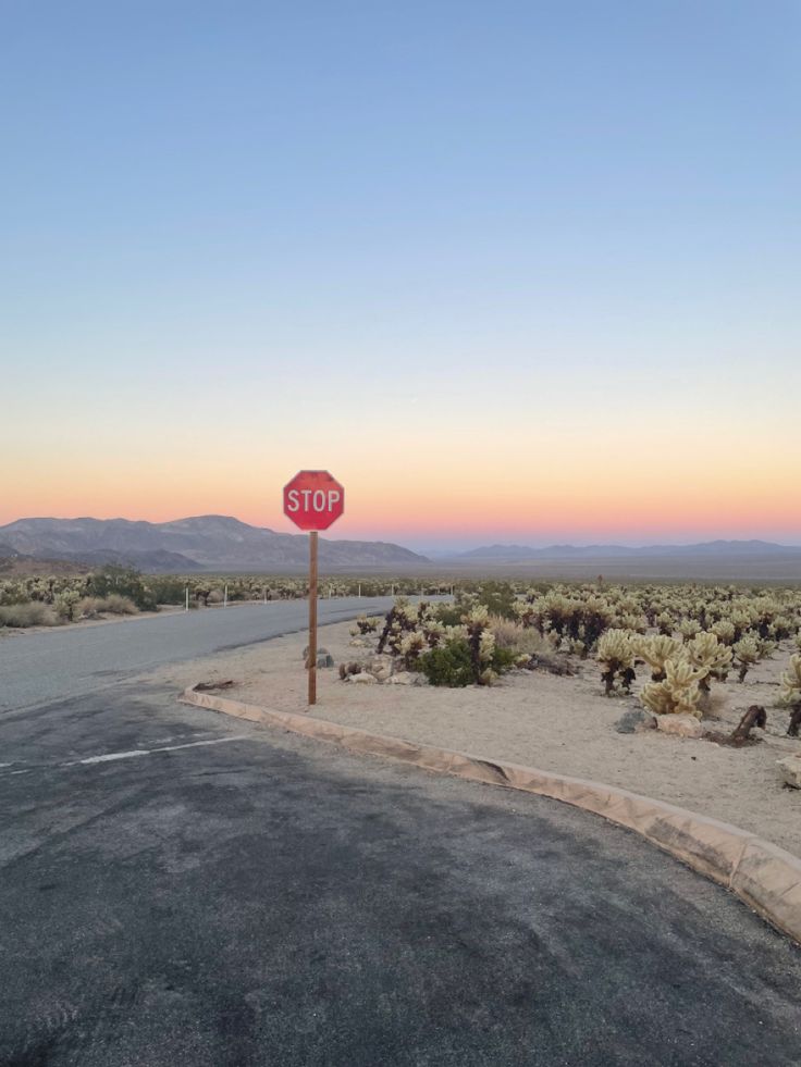 a red stop sign sitting on the side of a road in the middle of nowhere