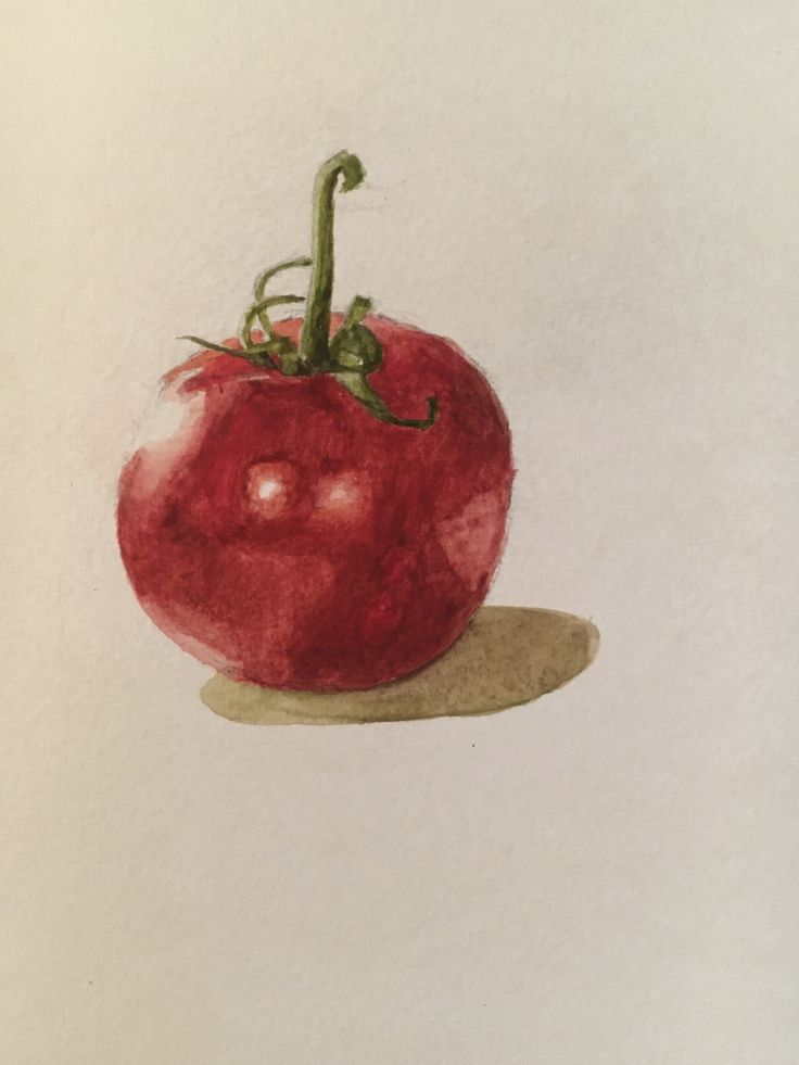 a drawing of a red tomato on a white paper with a green stalk sticking out of it