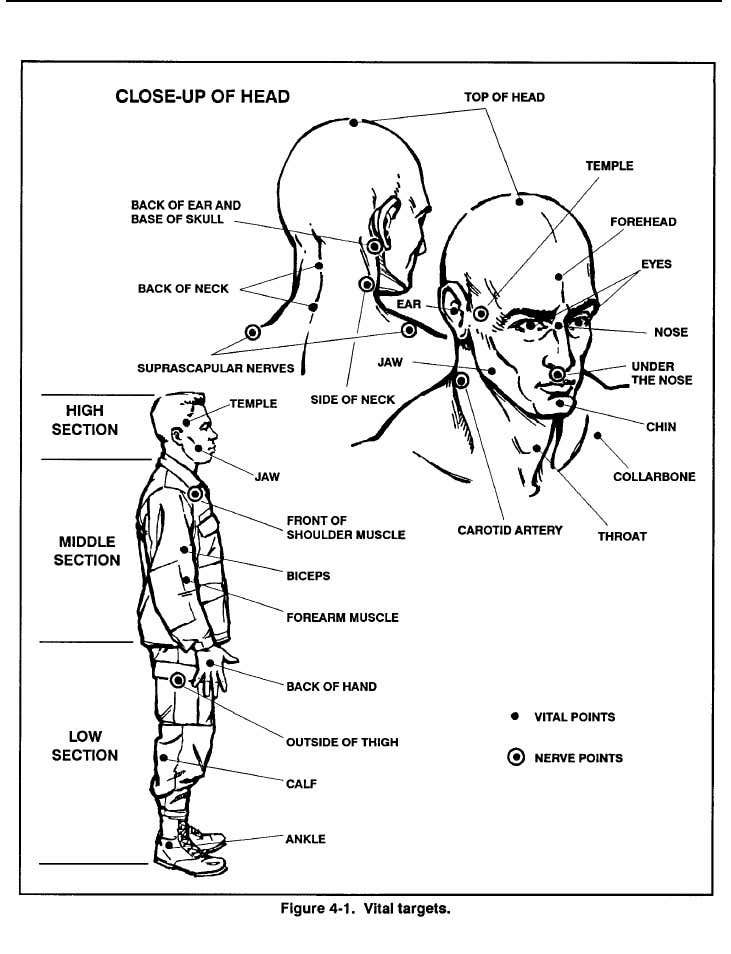 an image of the human head and body in black and white, with labels on it