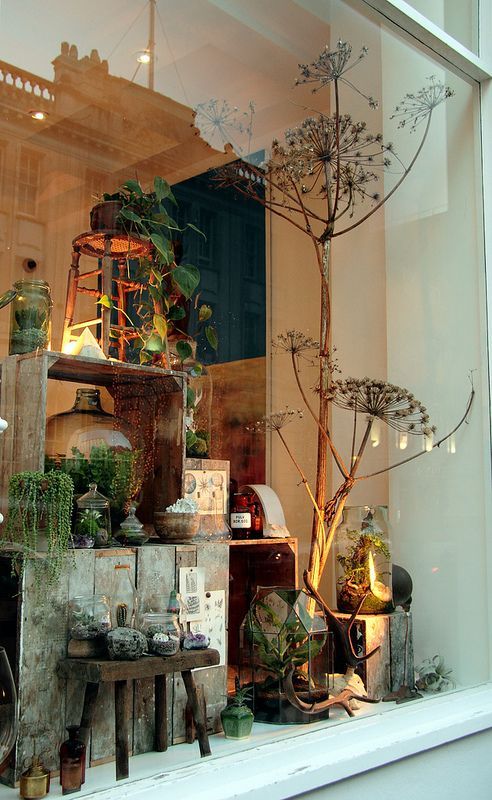 a window display with plants and other things in it