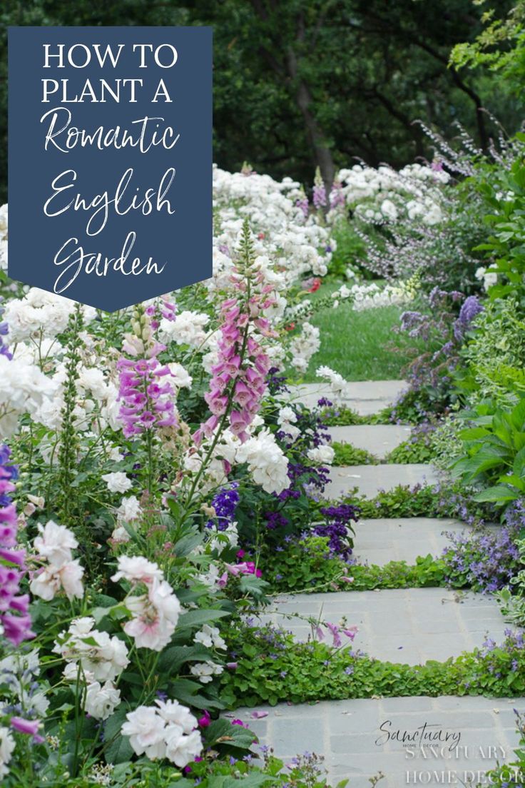 an english garden with white and purple flowers in the foreground, text overlay reads how to plant a romantic english garden