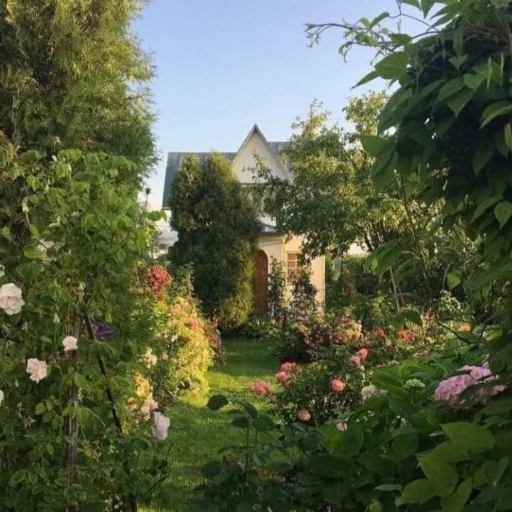 the house is surrounded by many trees and flowers