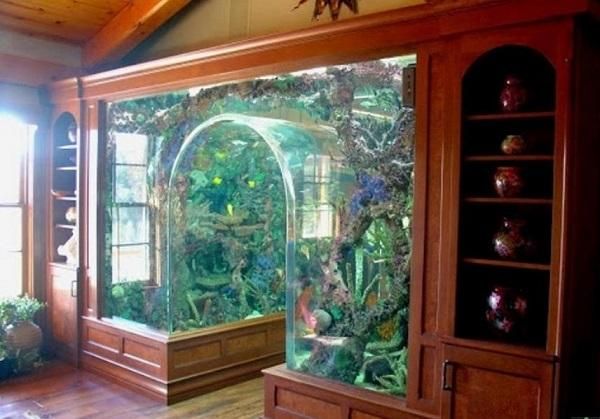 an aquarium in the corner of a room with wood flooring and shelves filled with plants