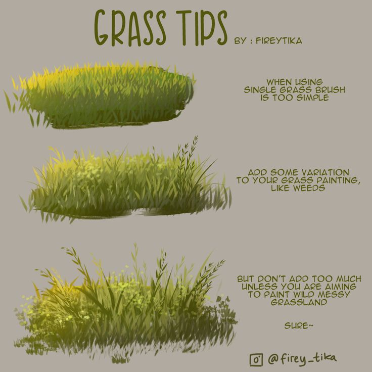 grass tips by fireflyia