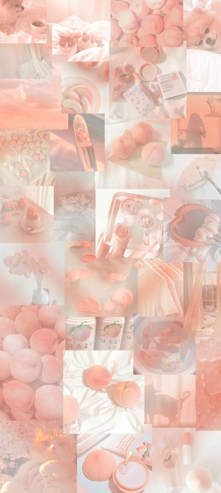 Peach aesthetic wallpaper Aesthetic Peach Wallpaper Iphone, Soft Peachy Aesthetic Wallpaper, Cute Peach Wallpaper Iphone, Pastel Peach Aesthetic Wallpaper, Color Peach Aesthetic, Peach Aesthetic Wallpaper Vintage, Peach Asthetics Wallpaper, Peach Color Wallpaper Aesthetic, Light Orange Wallpaper Aesthetic