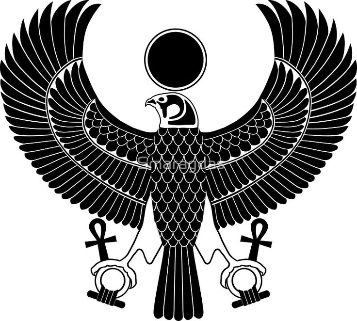 an egyptian bird with symbols around it