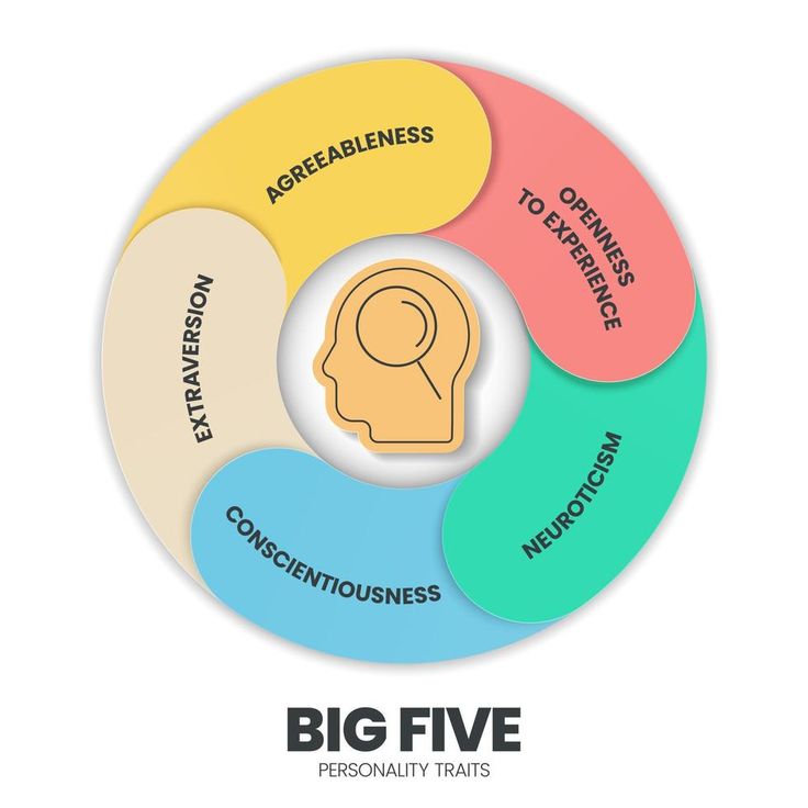 the four stages of big five are shown in this circular diagram, with three different areas labeled