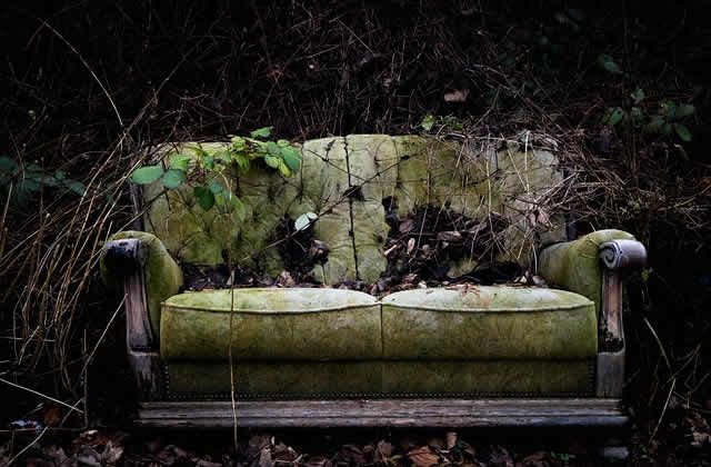 an old green couch sitting in the woods