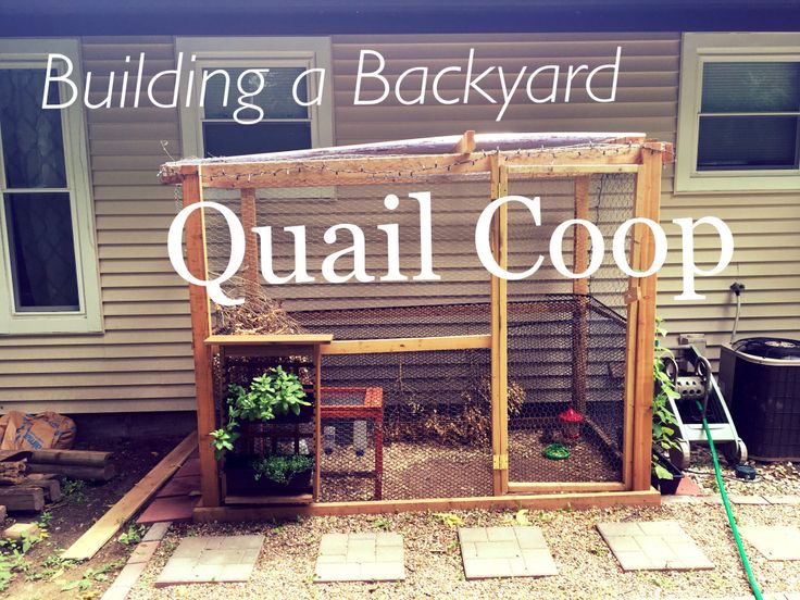 a chicken coop with the words building a backyard quail coop