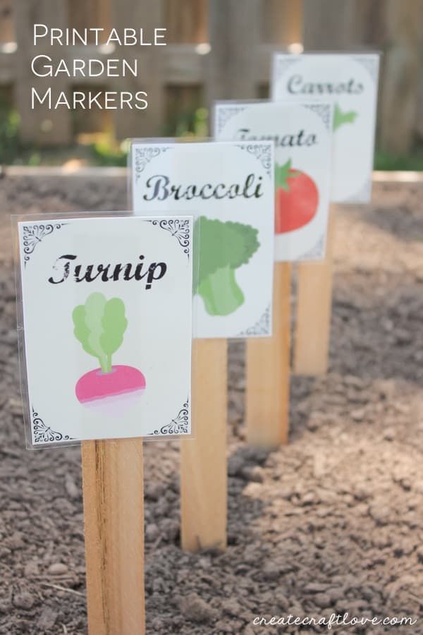 30 DIY Garden Markers with How-Tos - Pretty DIY Home School Garden Ideas, Vegetable Garden Markers, Garden Signage, Garden Plant Markers, Garden School, Preschool Garden, School Gardens, Fruit Farm, Marker Crafts