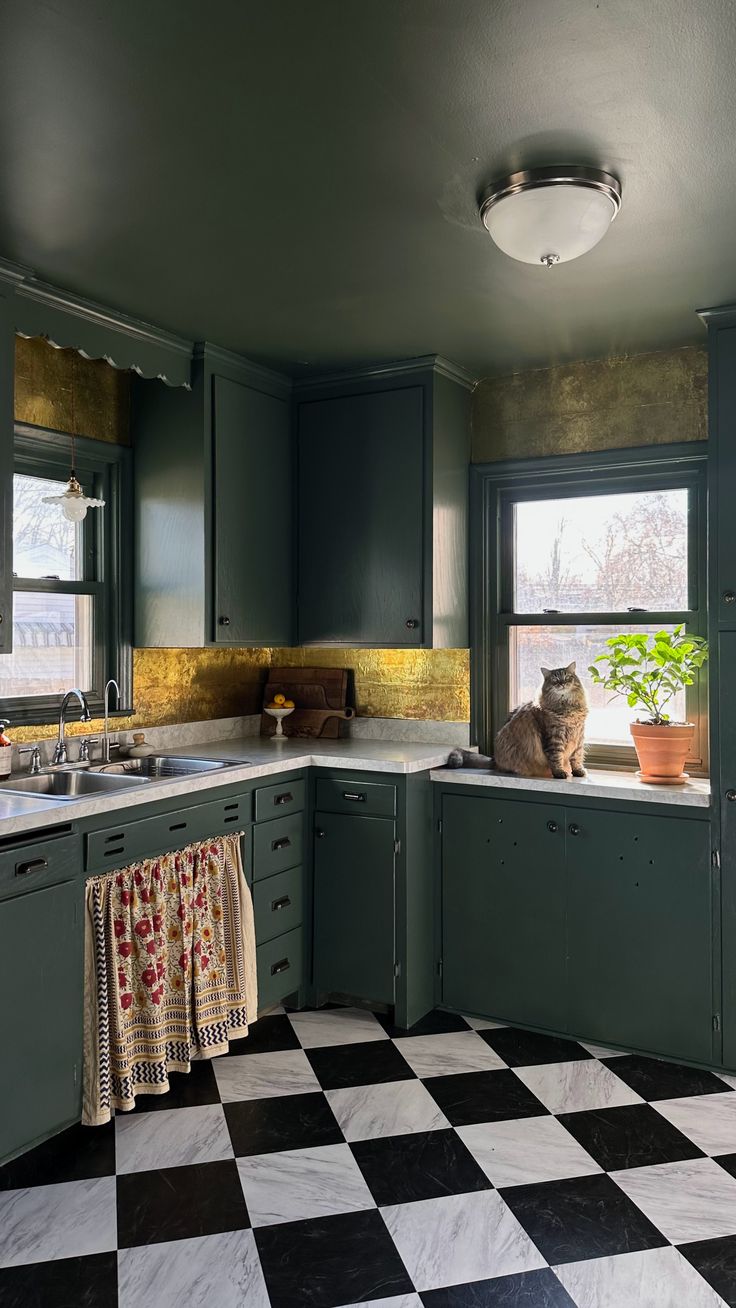 a cat sitting on top of a window sill in a kitchen next to a sink