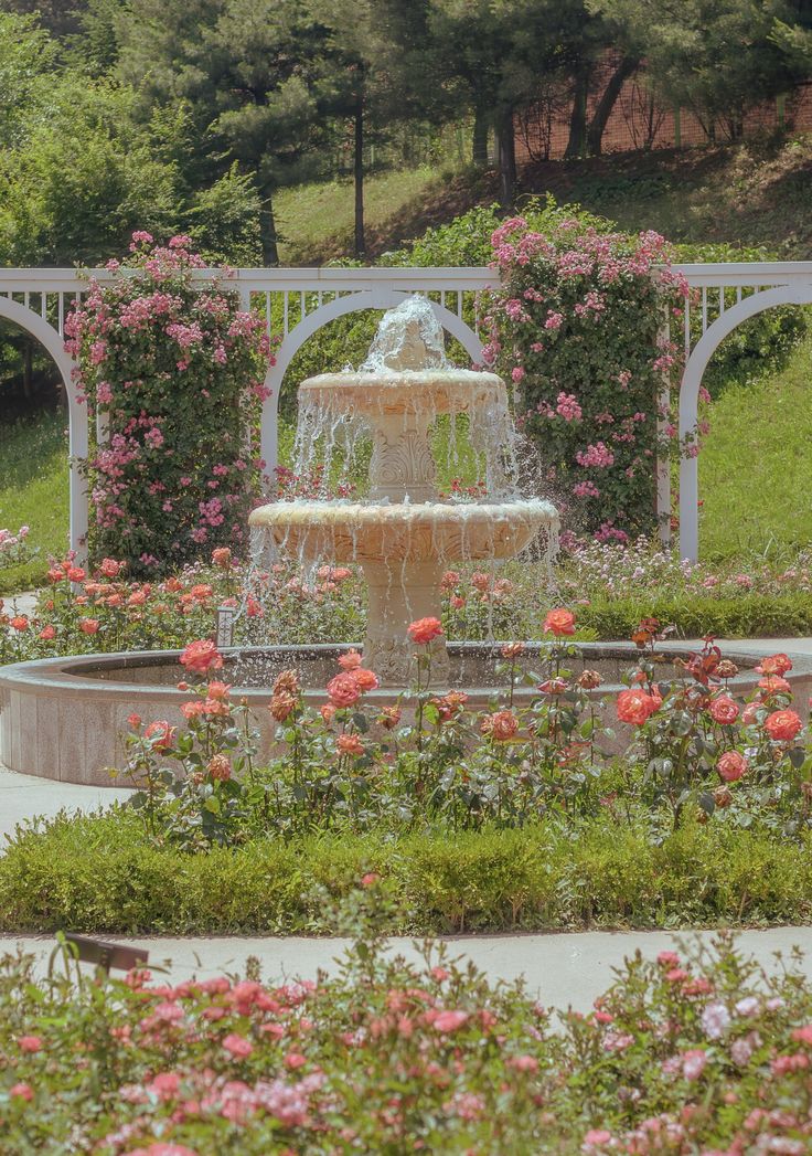 a water fountain surrounded by pink flowers in a park