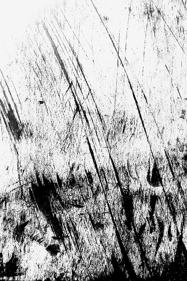 black and white photograph of grass on the ground