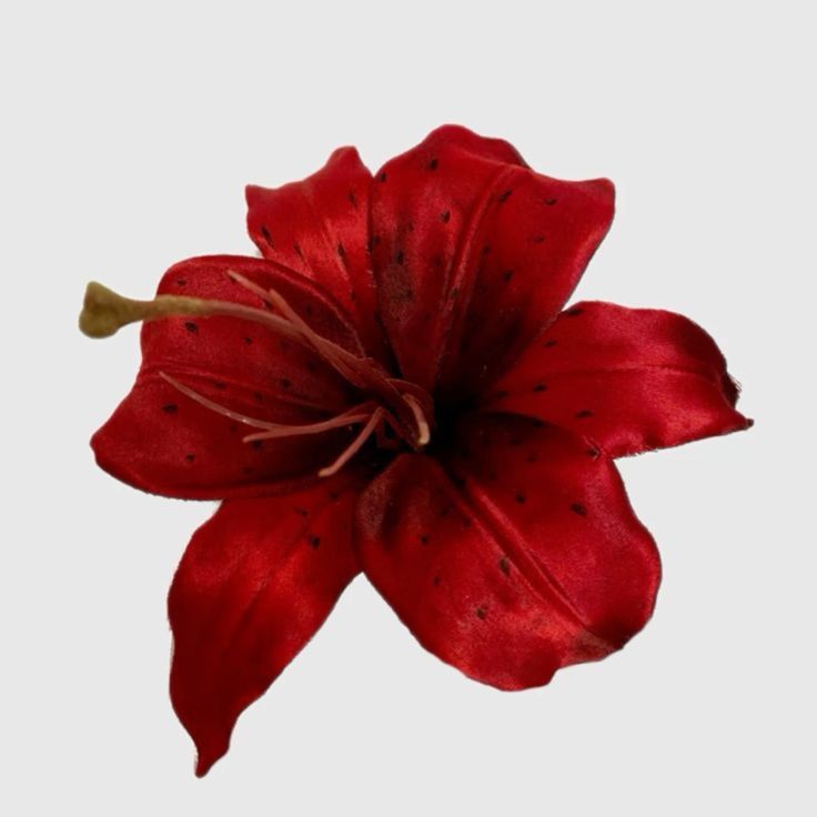 a red flower with black spots on it's petals is shown against a white background