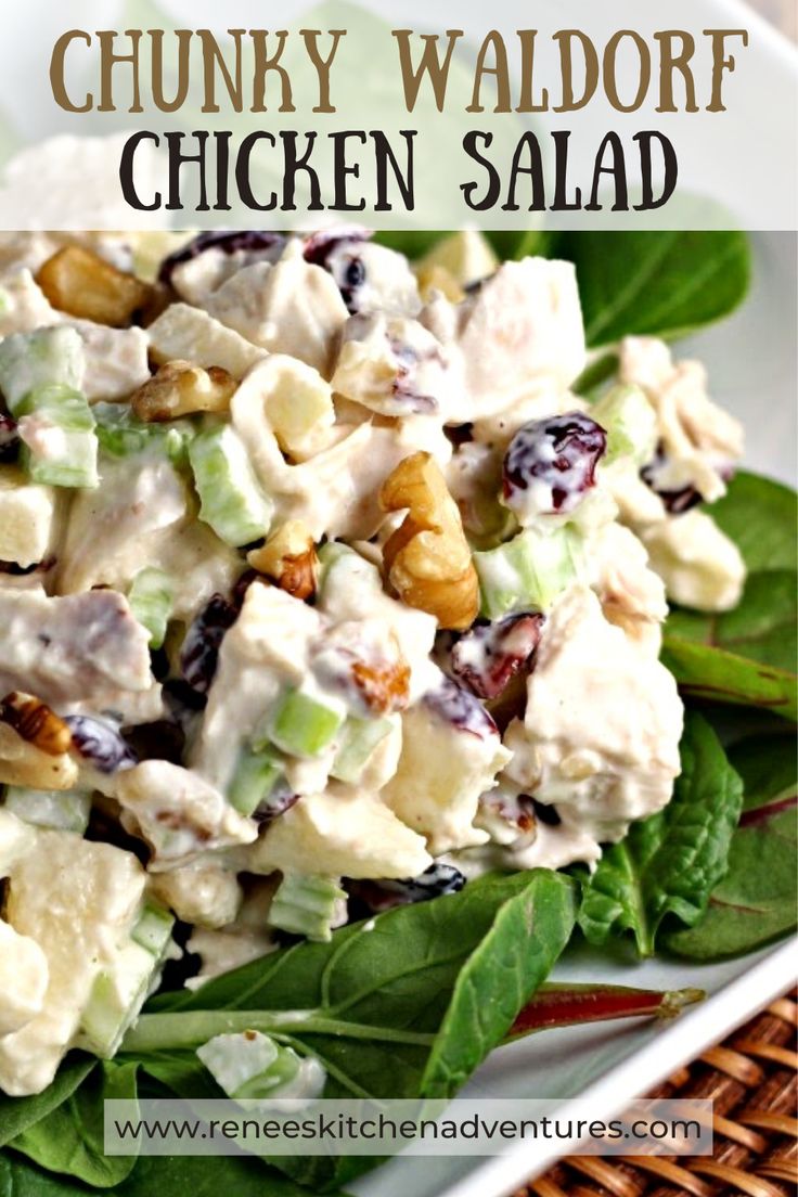 chicken salad with lettuce and cranberries in a white bowl