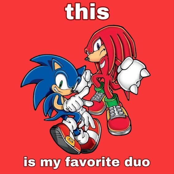 an image of sonic and knuckles on a red background with the words, this is my favorite duo