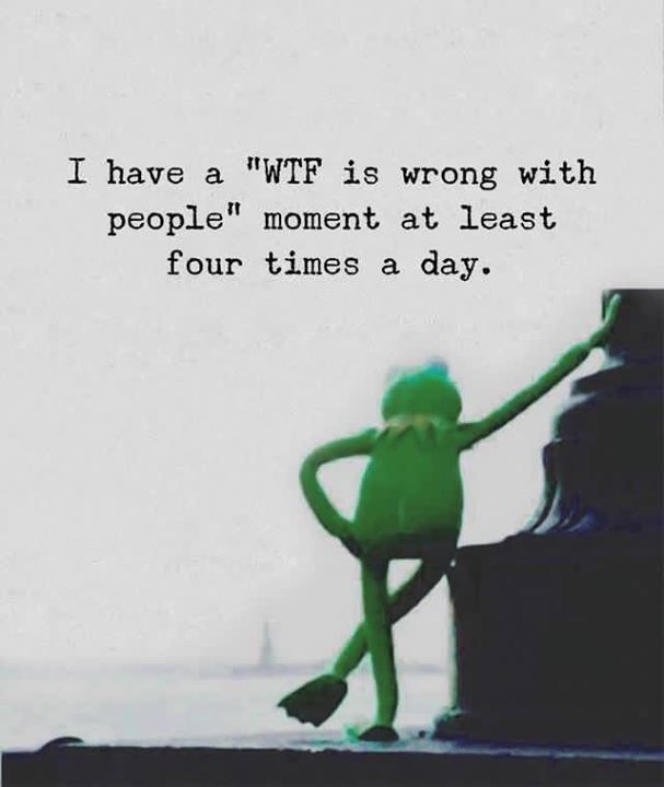 a green stuffed animal sitting on top of a wooden pole next to a sign that says, i have a wft is wrong with people moment at least four times a day