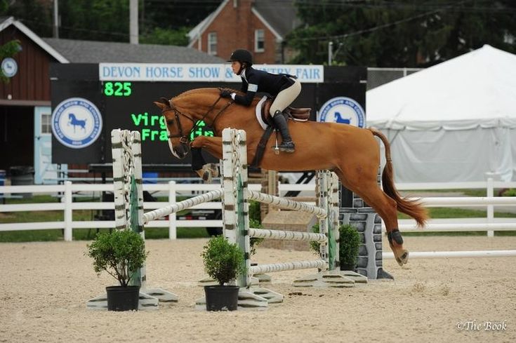 a person jumping a horse over an obstacle