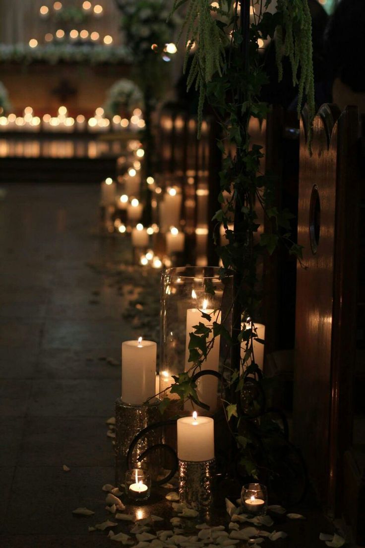 candles are lined up on the ground in front of a building with windows and greenery