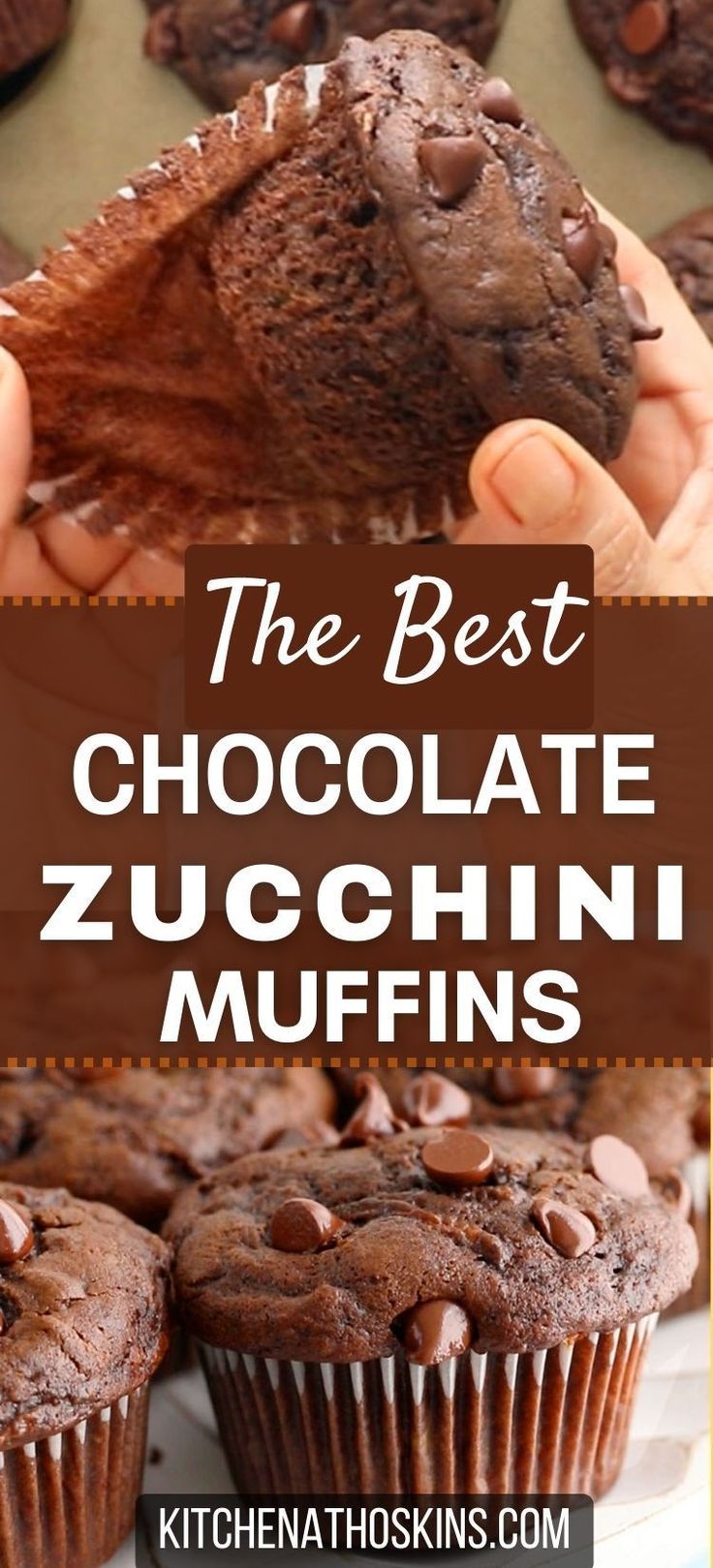 the best chocolate zucchini muffins recipe