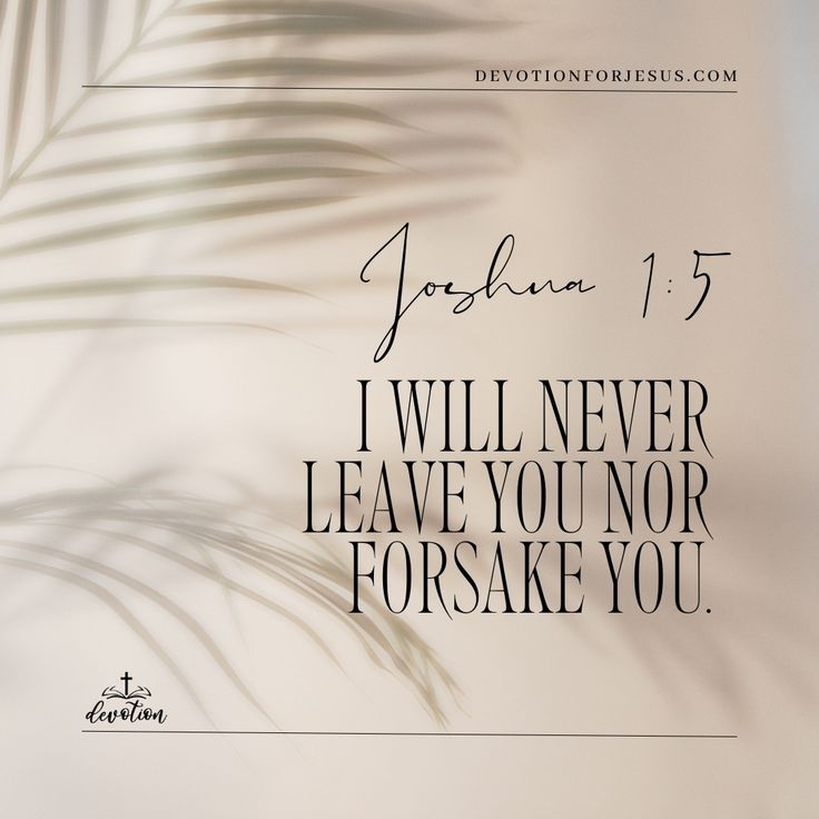 a palm leaf with the words i will never leave you nor forsake you