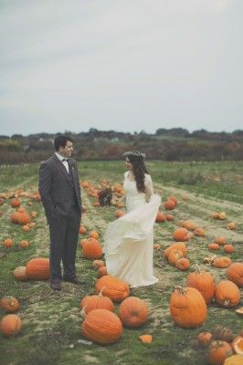 a bride and groom standing in a field full of pumpkins