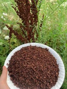 a hand holding a white bowl filled with brown dirt next to tall grass and wildflowers