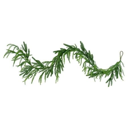 the branch of a pine tree on a white background