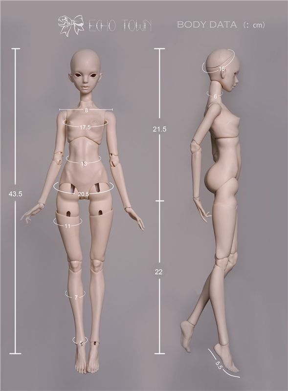 a female mannequin is shown with measurements for the body and head to scale