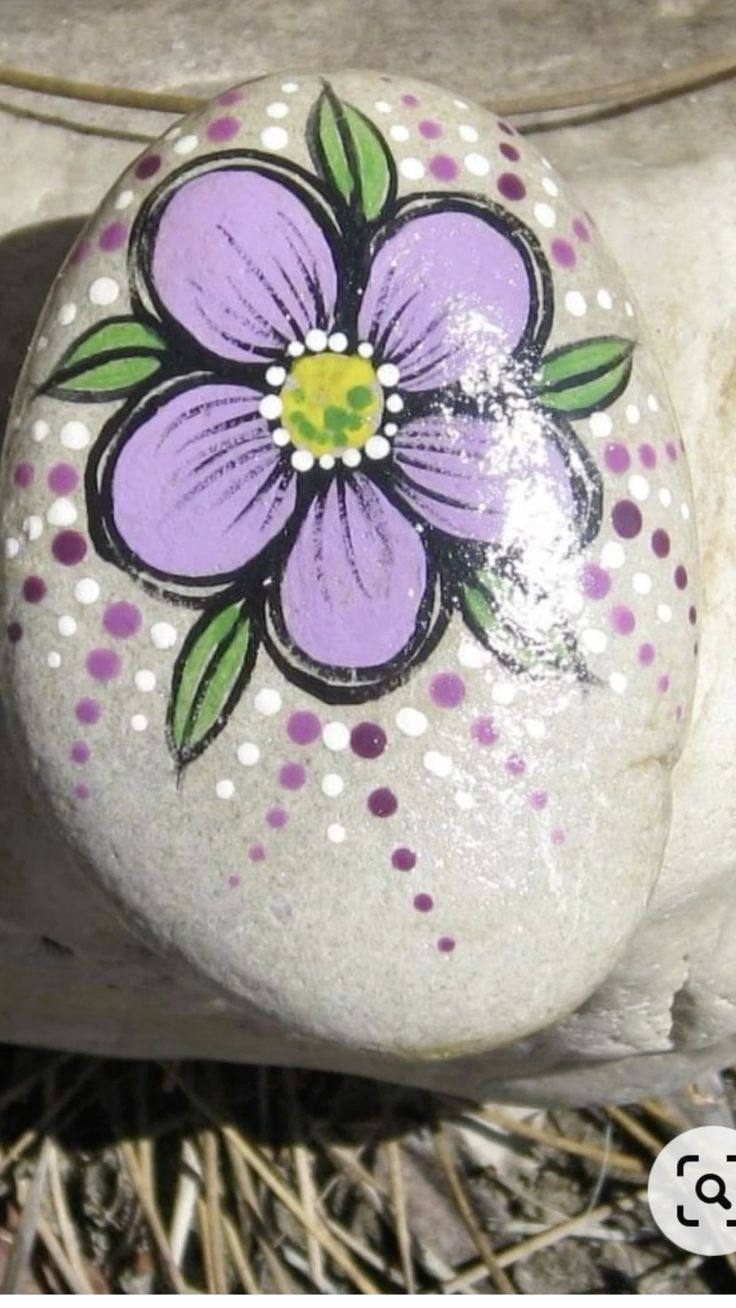 Mexican Rock Painting, Dragon Fly Painted Rocks, Painted Rock Ideas Easy, Painting Flowers On Rocks, Round Rock Painting Ideas, Rock Painting Ideas For Garden, Flower Rock Painting Ideas, Flower Rocks, Rock Painting Flowers