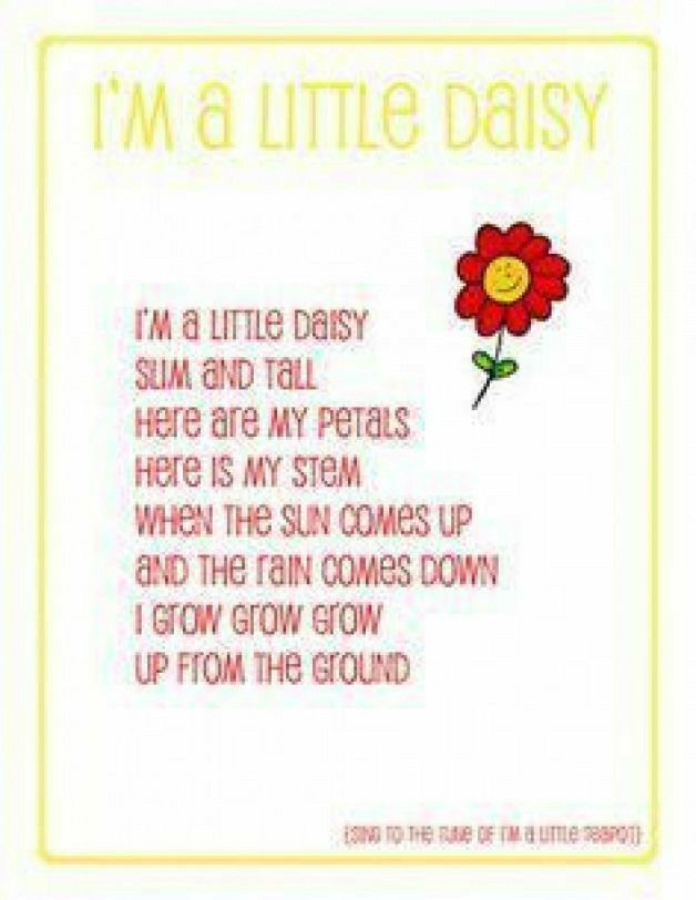 a card with the words i'm a little daisy and a flower on it