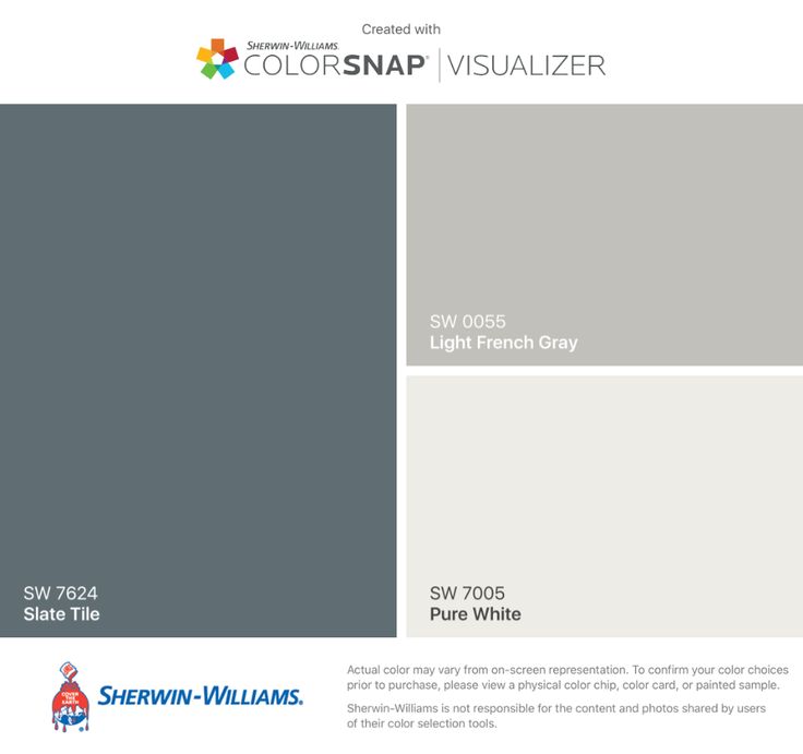 the colorsnap visualizer is shown in gray and white, with different shades