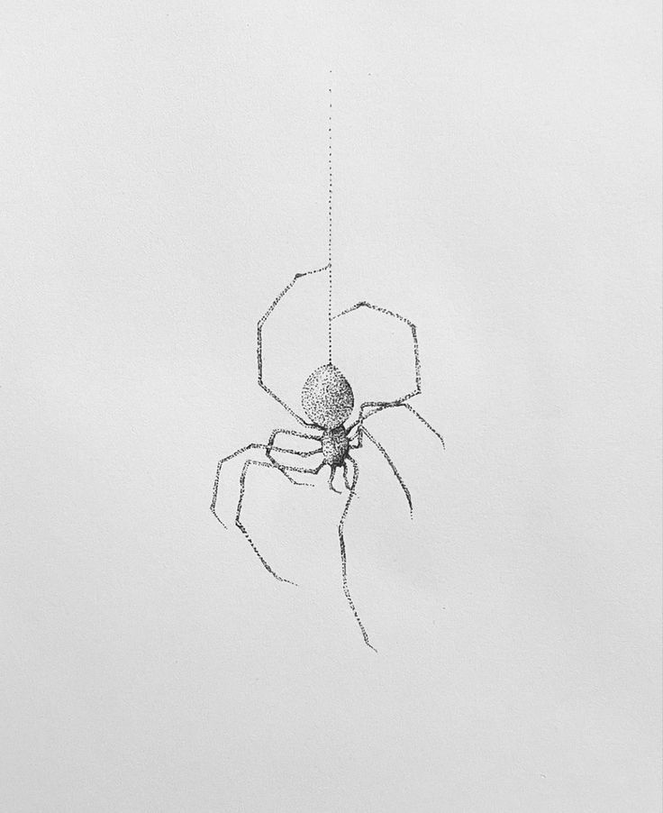 a black and white photo of a spider in the air with it's web