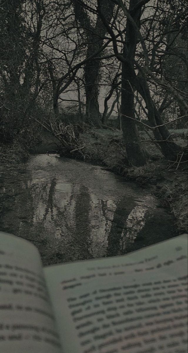 an open book sitting on top of a river