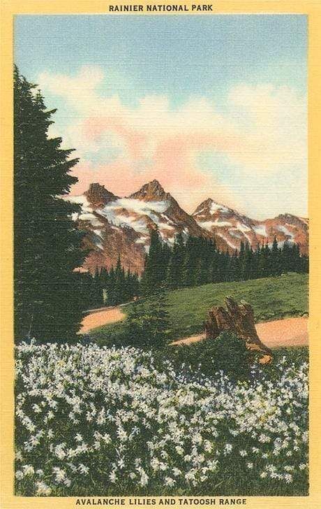 an old postcard with mountains and flowers in the foreground on a sunny day