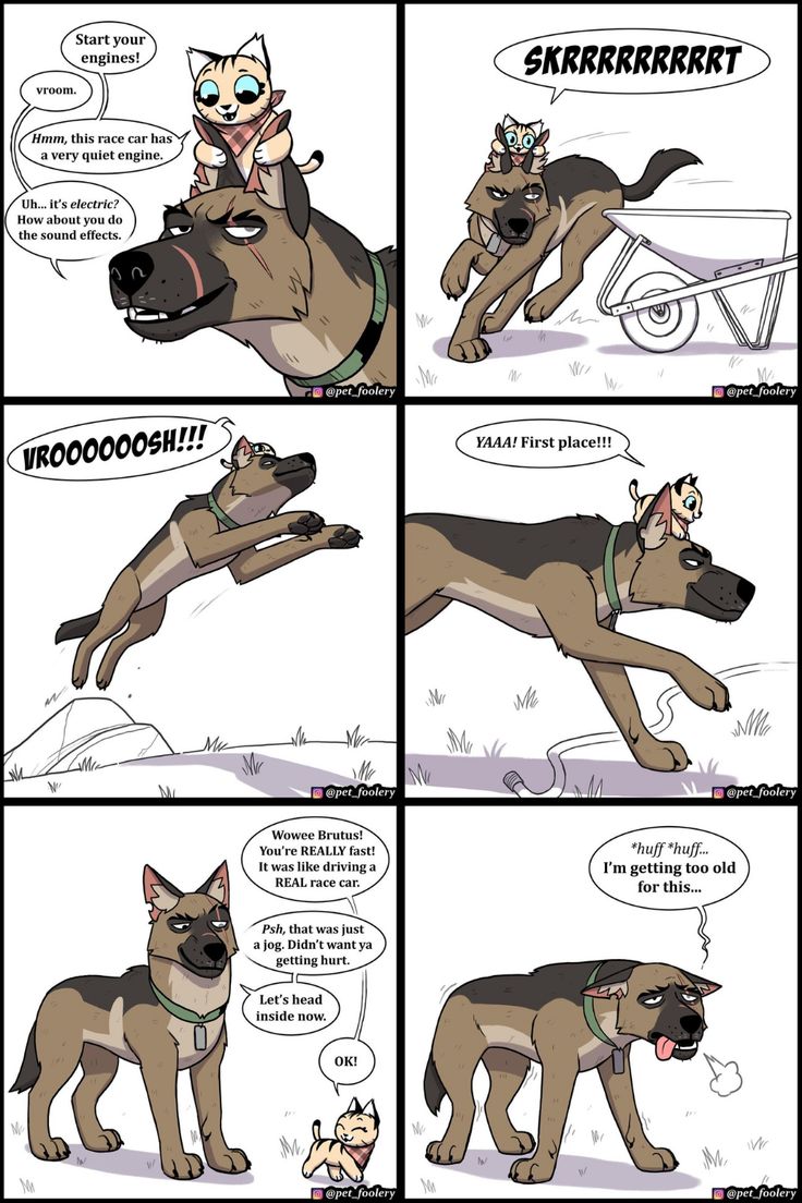 a comic strip with an image of a dog in the air