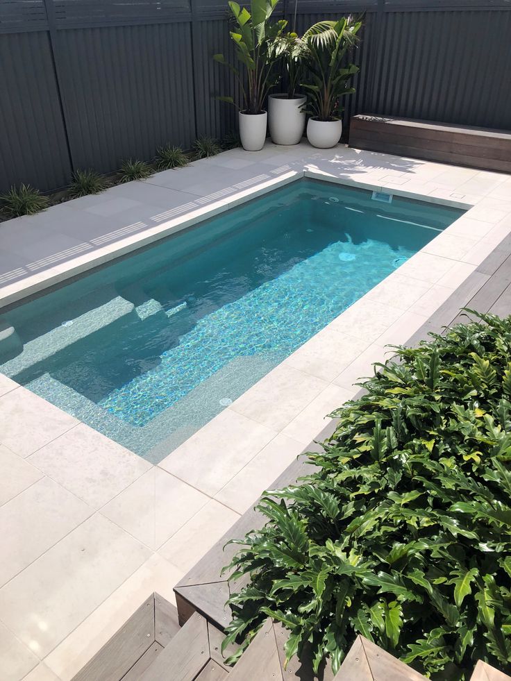 an empty swimming pool surrounded by greenery in a back yard with potted plants