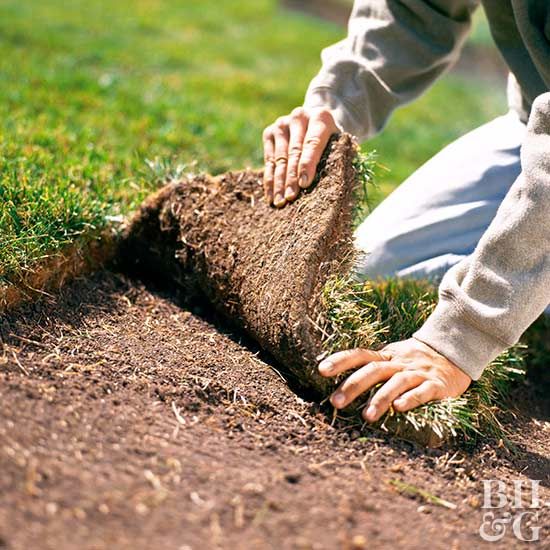 a person is digging in the dirt with their hand on top of a piece of grass