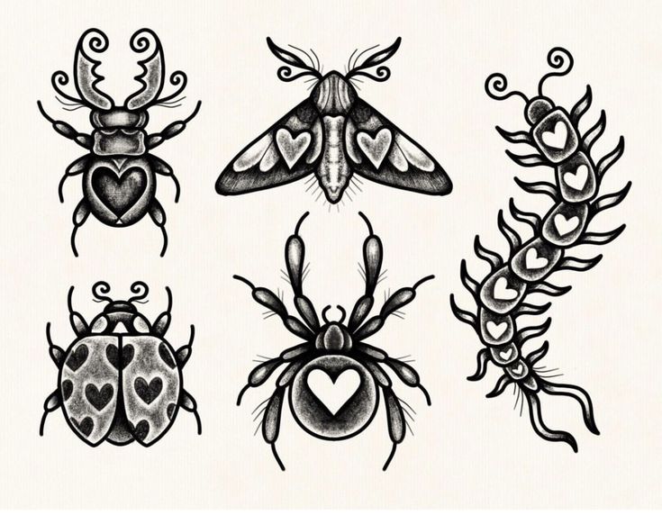 four different types of bugs with hearts and leaves on their backs, all drawn in black ink