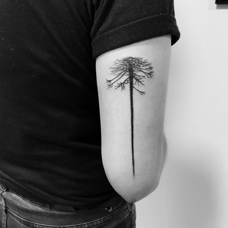 a person with a tattoo on their arm that has a large tree in the middle