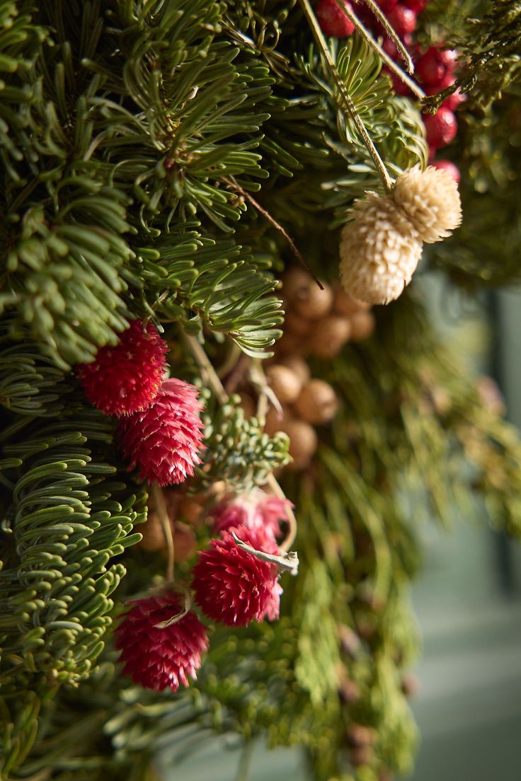 pine cones and berries are hanging from a christmas tree