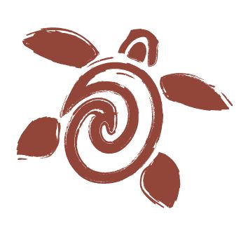 a drawing of a sea turtle with spirals on it's back, in brown ink